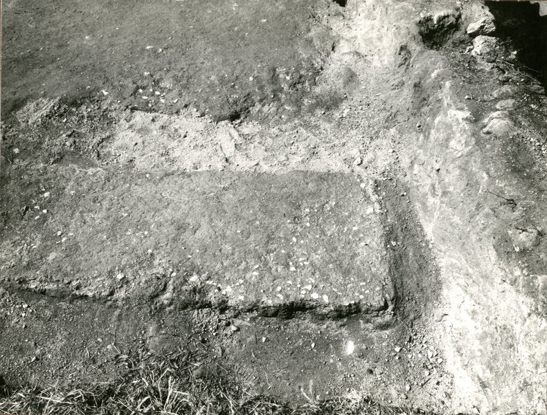 002199 - scavo archeologico - Casa di Augusto, zona dell'oecus prima dello scavo. Neg. serie 9x12 nÂ°1329
