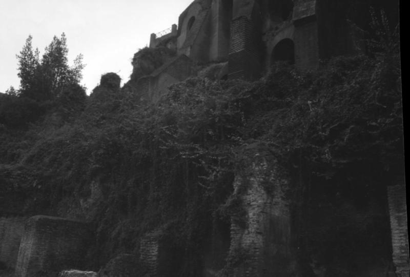 1-00030/ 08156/ 17183/ 16803 - Roma - Palatino - Via Nova