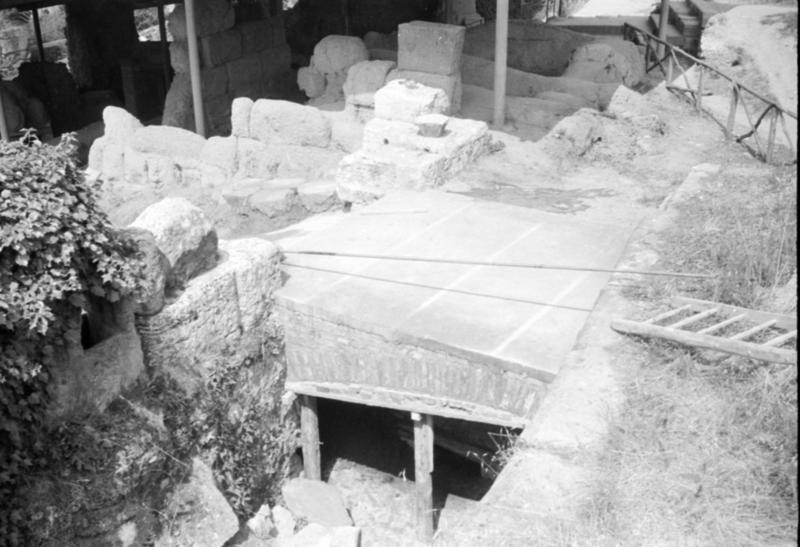 1-00030/ 08156/ 17183/ 16804 - Roma - Palatino - Scalae Caci