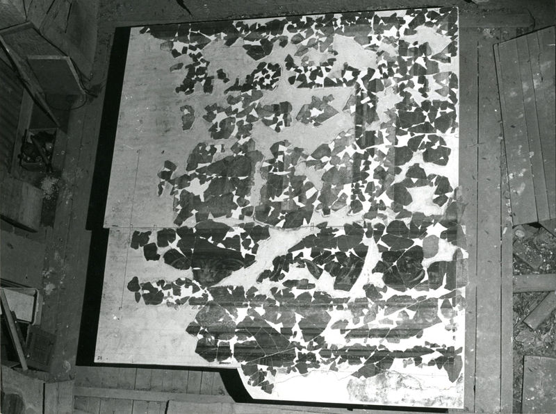001990 - restauro - Casa di Augusto, Oecus, ambiente 13, pittura parietale in secondo stile pompeiano, ricollocata in situ su pannelli nel 2000.
 Bibliografia: Musatti, G. "Casa di Augusto sul Palatino. L'intervento di restauro e considerazioni sulla decorazione pittorica" in Bollettino d'Arte 2, aprile-giugno 2009 (serie VII) pp. 24 e ss. / Iacopi, I. "La Casa di Augusto, le pitture" Electa 2007 
 Neg. serie Film nÂ° 723