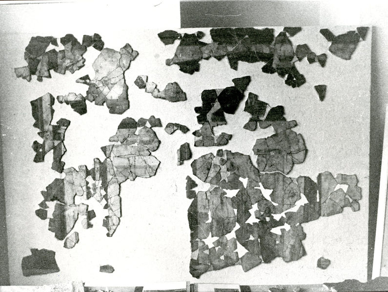 002006 - restauro - Casa di Augusto, Oecus, ambiente 13, pittura parietale in secondo stile pompeiano, ricollocata in situ su pannelli nel 2000.
 Bibliografia: Musatti, G. "Casa di Augusto sul Palatino. L'intervento di restauro e considerazioni sulla decorazione pittorica" in Bollettino d'Arte 2, aprile-giugno 2009 (serie VII) pp. 24 e ss. / Iacopi, I. "La Casa di Augusto, le pitture" Electa 2007 
 Neg. serie Film nÂ°655