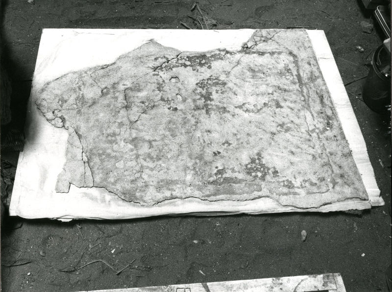 002010 - restauro - Casa di Augusto, Oecus, ambiente 13, pittura parietale in secondo stile pompeiano, ricollocata in situ su pannelli nel 2000.
 Bibliografia: Musatti, G. "Casa di Augusto sul Palatino. L'intervento di restauro e considerazioni sulla decorazione pittorica" in Bollettino d'Arte 2, aprile-giugno 2009 (serie VII) pp. 24 e ss. / Iacopi, I. "La Casa di Augusto, le pitture" Electa 2007 
 Neg. serie 6x6 nÂ° 5064