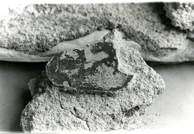 002016 - monumento - Casa di Augusto, oecus, ambiente 13, danni da distacco. Neg. serie Film nÂ°655