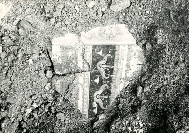 002150 - scavo archeologico - Casa di Augusto, scavi al cubicolo superiore, ambiente 15. Neg. serie 423