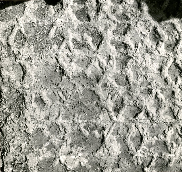 002542 - monumento - Casa di Augusto, ambiente 5: impronte nella malta di un pavimento in opus sectile a modulo rombico con motivo a rombi tristellati (?). Quasi illegibile. Senza negativo