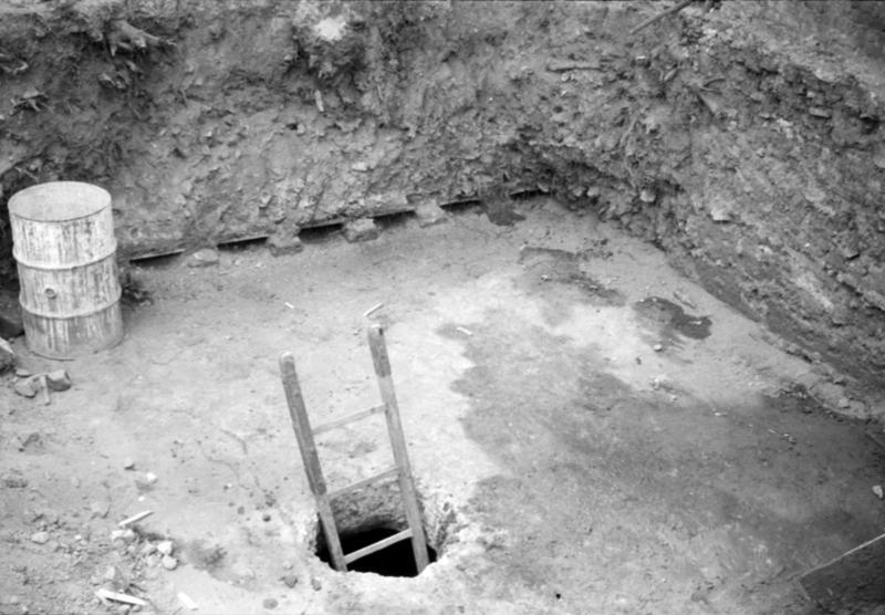 1-00030/ 08156/ 17183/ 16812 - Roma - Palatino - Domus Tiberiana