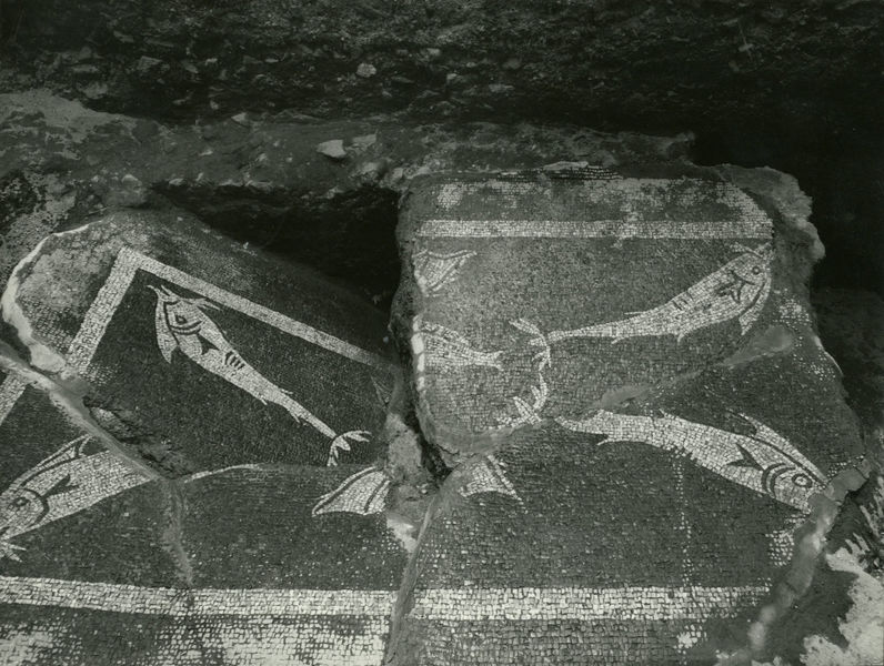 002434 - scavo archeologico - Casa di Augusto, mosaico con motivo figurato di pesci, bicromo, rinvenuto durante gli scavi del 1974. Neg. serie 9x12 nÂ°1378