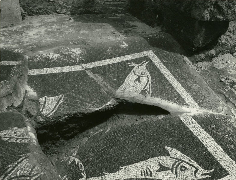 002435 - scavo archeologico - Casa di Augusto, mosaico con motivo figurato di pesci, bicromo, rinvenuto durante gli scavi del 1974. Neg. serie 9x12 nÂ°1377