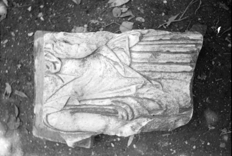 1-00030/ 08156/ 17183/ 16815 - Roma - Palatino - Domus Tiberiana