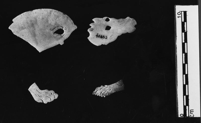 005855 - reperto - Domus Transitoria, tarsi marmoree parietali raffiguranti animali di incerta identificazione. Neg serie Film nÂ° 2478