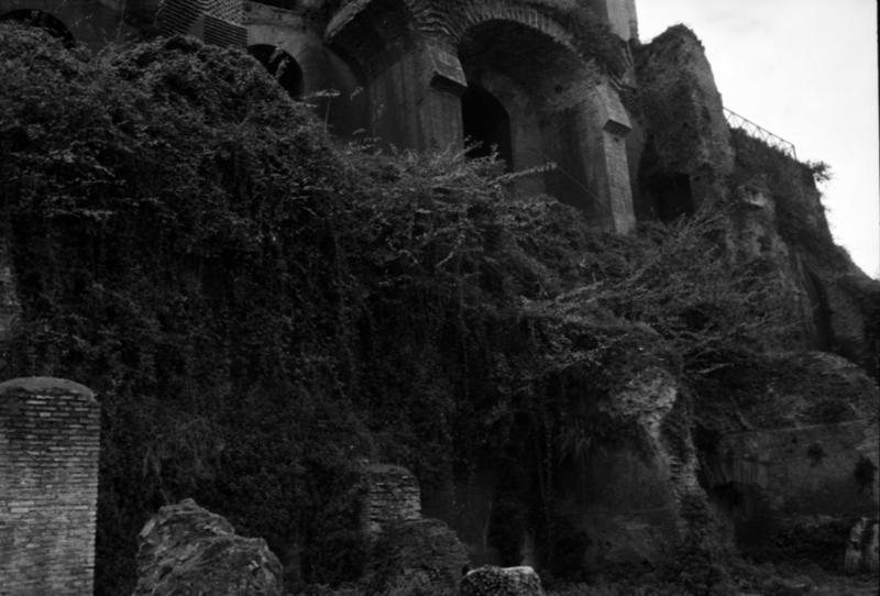 1-00030/ 08156/ 17183/ 16828 - Roma - Palatino - Via Nova