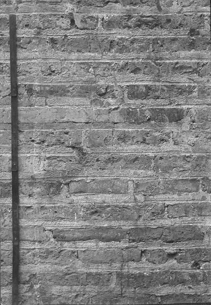 008806 - monumento - Domus Transitoria, particolare della cortina laterizia restaurata della parete sud-est. Neg. serie F nÂ° 1955