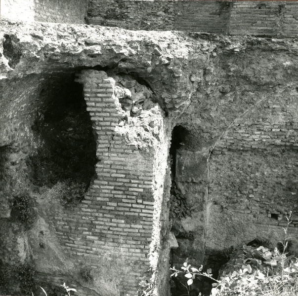 002440 - scavo archeologico - Casa di Augusto, scavi del Peristilio antistante le biblioteche, IÂ° ambiente occidentale (luglio 1966). Neg. serie 6x6 nÂ° 1191