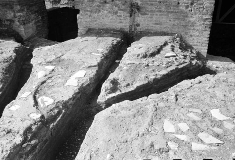 1-00031/ 08335/ 16799 - Roma - Palatino - Terme Severiane