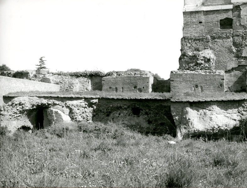002443 - scavo archeologico - Casa di Augusto, scavi del Peristilio antistante le biblioteche, IÂ° ambiente occidentale ( marzo 1967). Neg. serie 6x6 nÂ° 1324