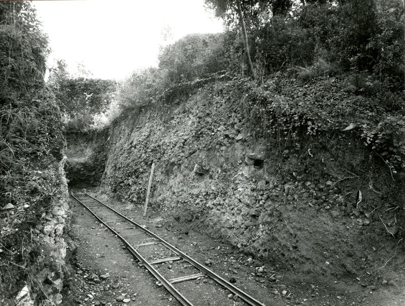 002449 - scavo archeologico - Casa di Augusto, area del peristilio orientale, settore ovest, durante i lavori di scavo, novembre 1969. Neg. serie F nÂ° 2853