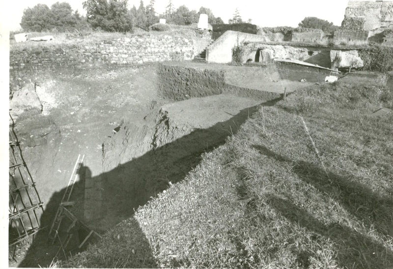 002456 - scavo archeologico - Casa di Augusto, settore ovest del peristilio orientale. Anno di scavo 1971. Neg. serie Film nÂ° 290