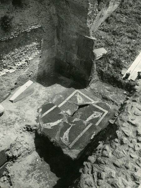 002472 - scavo archeologico - Casa di Augusto, peristilio orientale, settore ovest, ritrovamento di mosaico figurato bicromo con raffigurazione di pesci. Scavi 1974. Neg. serie 6x6 nÂ° 1374
