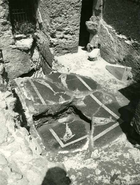 002473 - scavo archeologico - Casa di Augusto, peristilio orientale, settore ovest, ritrovamento di mosaico figurato bicromo con raffigurazione di pesci. Scavi 1974. Neg. serie 6x6 nÂ° 1374