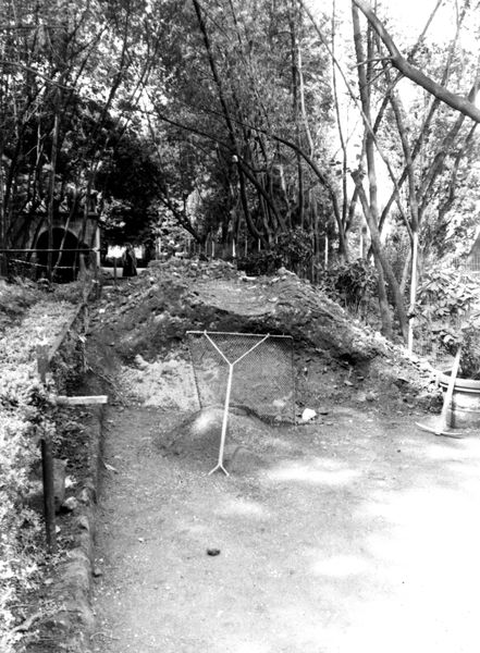 006012 - restauro - Palatino, Horti Farnesiani, il 1Â° ripiano del viale, durante i lavori di restauro; senza negativo