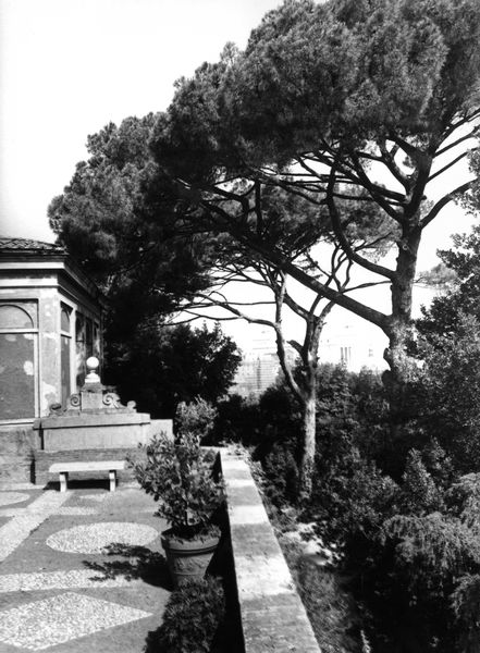 006018 - restauro - Palatino, Horti Farnesiani, caduta di rami nella zona davanti alle Uccelliere; FILM n. 2217