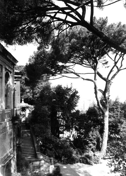 006019 - restauro - Palatino, Horti Farnesiani, caduta di rami nella zona davanti alle Uccelliere; FILM n. 2217