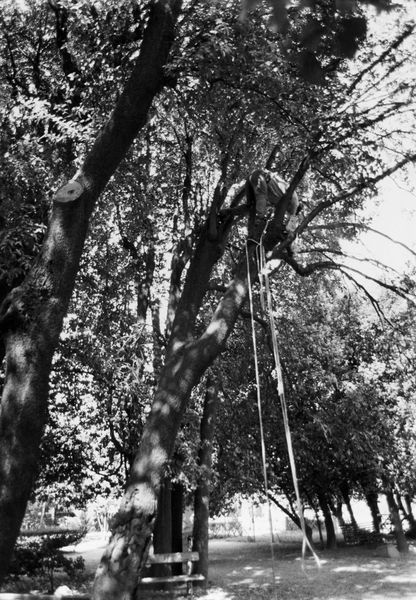 006022 - restauro - Palatino, Horti Farnesiani, taglio di un leccio pericolante (maggio 1989); FILM n. 2448