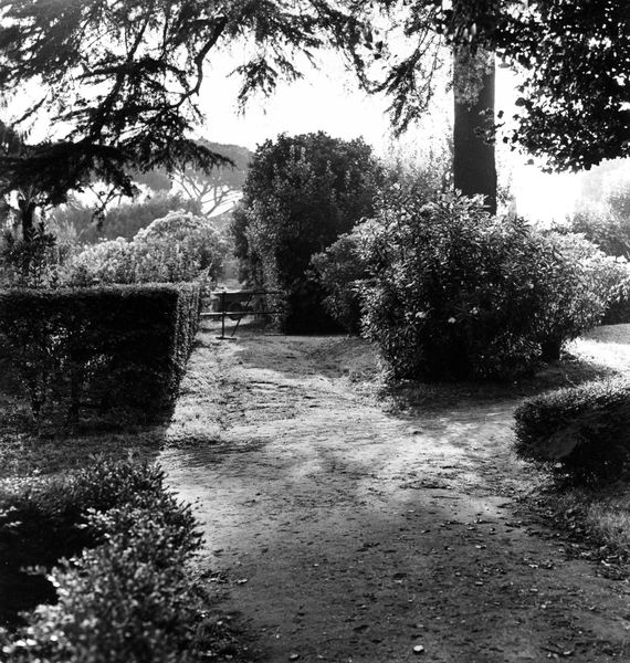 006029 - restauro - Palatino, Horti Farnesiani, i lavori nei giardini nell'agosto del 1992; senza negativo