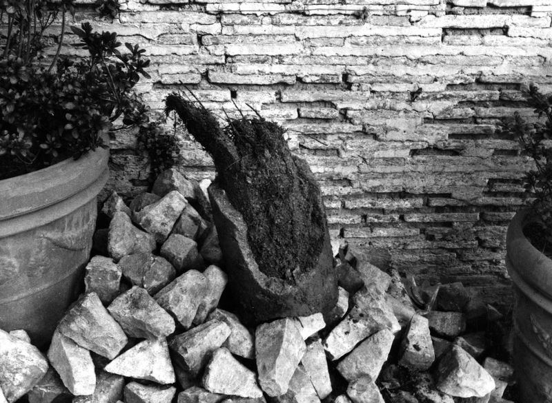 006036 - restauro - Palatino, Horti Farnesiani, lavori di fognature sulle scale, particolare, 1/84; neg. serie FILM 1295