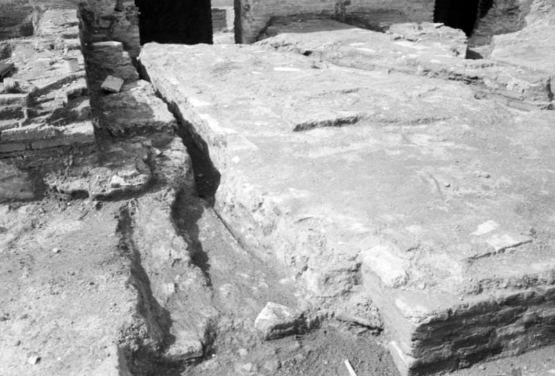 1-00031/ 08335/ 16799 - Roma - Palatino - Terme Severiane