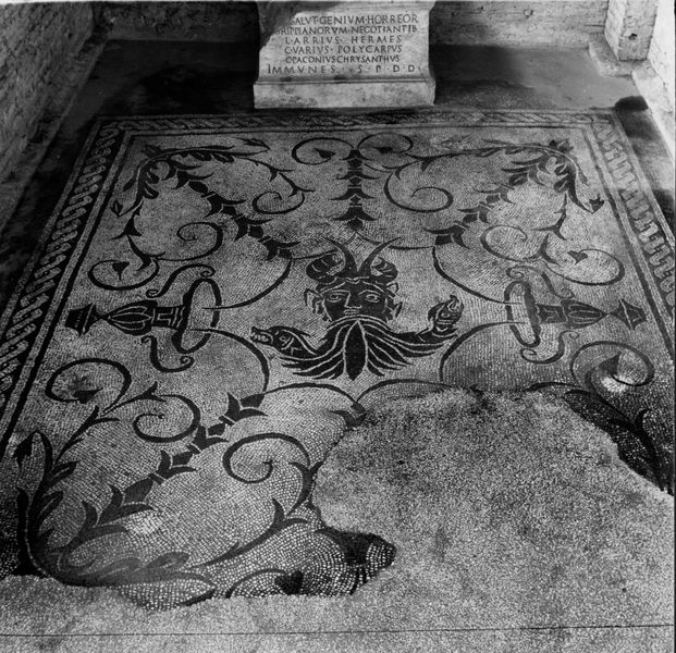 015458 - monumento - Foro Romano, Horrea Agrippiana, l'interno dell'edicola del genio, particolare del mosaico; neg. serie 6x6, n. 583