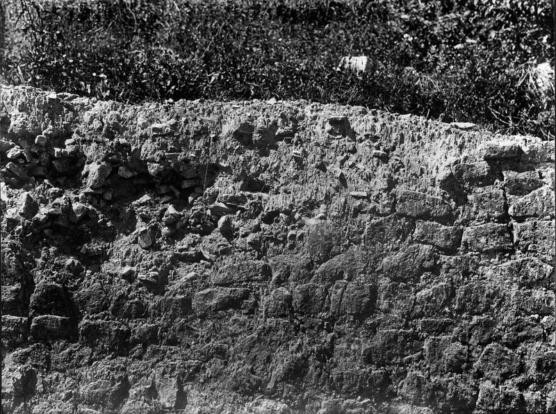 015460 - monumento - Foro Romano, Horrea Agrippiana, muro di epoca tarda alla destra dell'edicola del genio; neg. serie E, n. 1058