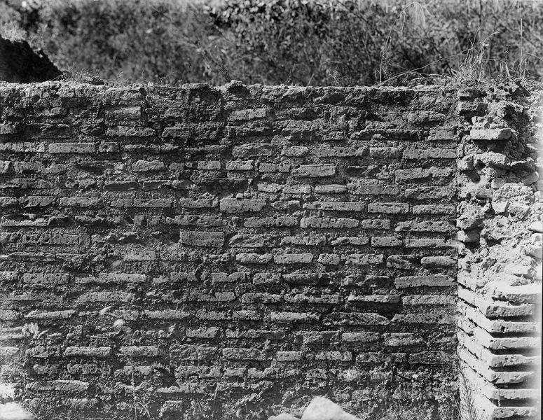 015463 - monumento - Foro Romano, Horrea Agrippiana, muro di epoca tarda alla destra della fontana; neg. serie E, n. 1059