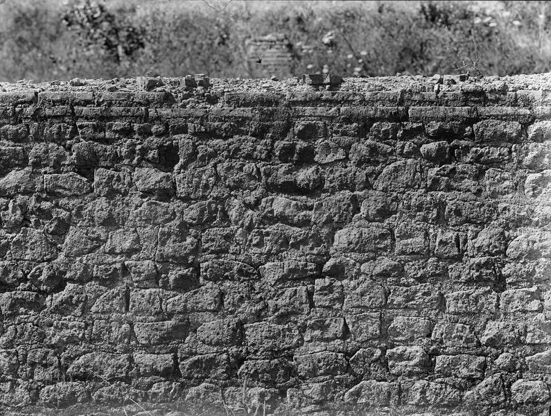 015464 - monumento - Foro Romano, Horrea Agrippiana, lato nord orientale, un muro dell'ambiente di fronte alla seconda taberna; neg. serie E, n. 1057