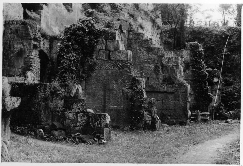 015470 - restauro - Foro Romano, Horrea Hagrippiana, lavori di disboscamento e restauro nell'inverno 1950/1951; FILM n. 5