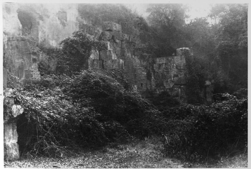 015472 - restauro - Foro Romano, Horrea Hagrippiana, lavori di disboscamento e restauro nell'inverno 1950/1951; FILM n. 5