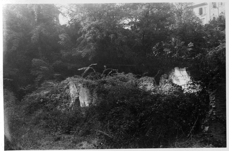 015473 - restauro - Foro Romano, Horrea Hagrippiana, lavori di disboscamento e restauro nell'inverno 1950/1951; FILM n. 5
