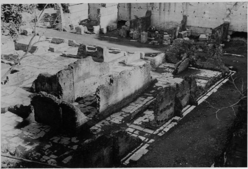 015475 - restauro - Foro Romano, Horrea Hagrippiana, lavori di disboscamento e restauro nell'inverno 1950/1951; FILM n. 5