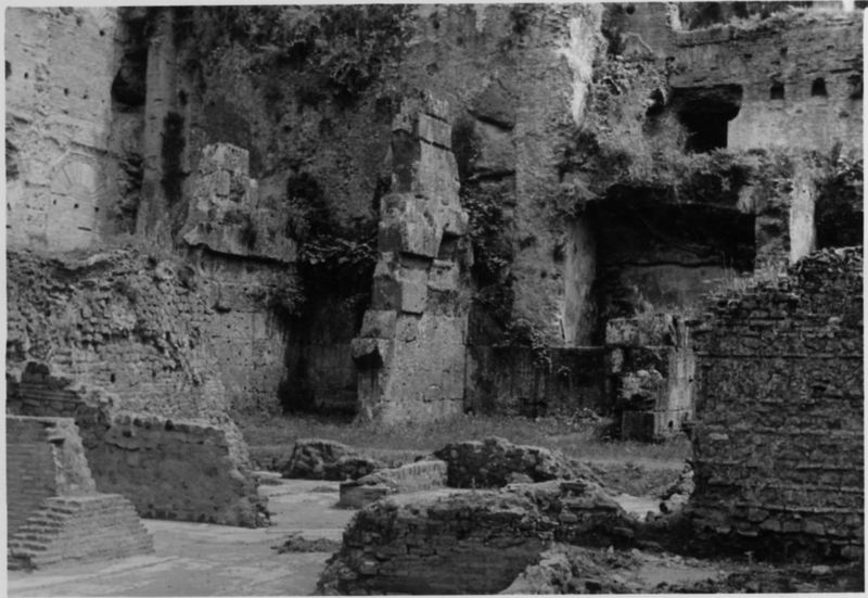 015477 - restauro - Foro Romano, Horrea Hagrippiana, lavori di disboscamento e restauro nell'inverno 1950/1951; FILM n. 5