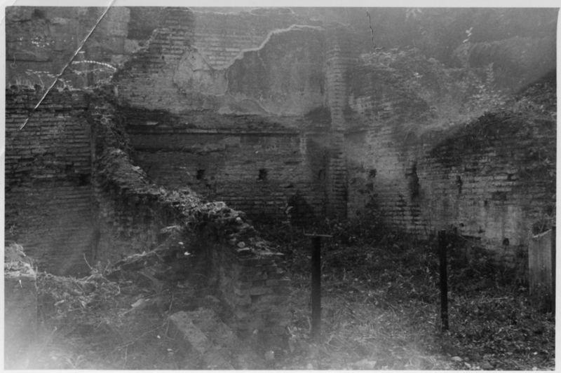 015479 - restauro - Foro Romano, Horrea Hagrippiana, lavori di disboscamento e restauro nell'inverno 1950/1951; FILM n. 5
