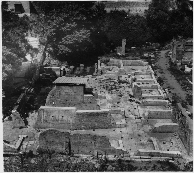 015480 - monumento - Foro Romano, Horrea Hagrippiana, veduta dopo i lavori di disboscamento e restauro dell'inverno 1950/1951; dono del Dr. Nash