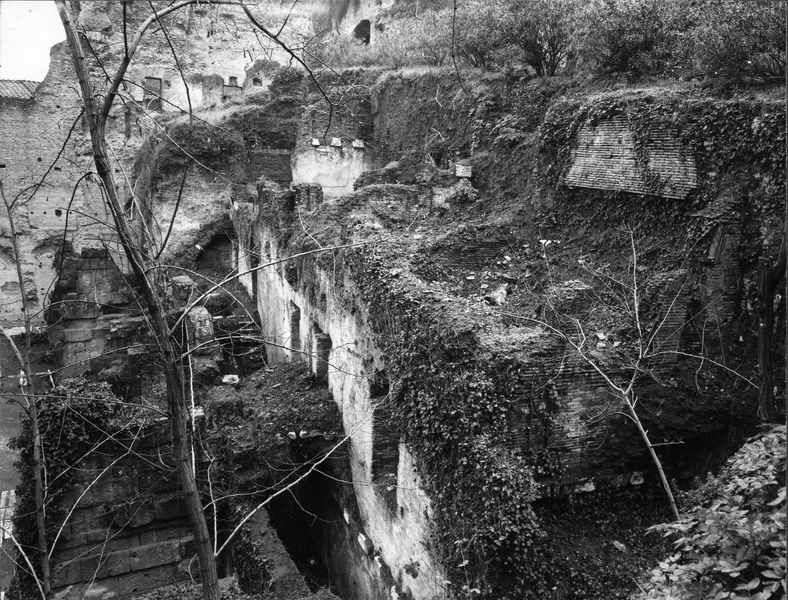 015485 - monumento - Foro Romano, Horrea Hagrippiana, veduta delle strutture sul lato sud orientale e del versante occidentale del Velabro (marzo 1972); neg. serie 9x12, n. 1122