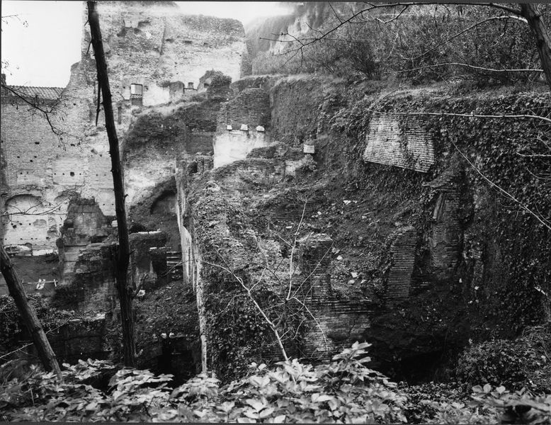 015486 - monumento - Foro Romano, Horrea Hagrippiana, veduta delle strutture sul lato sud orientale e del versante occidentale del Velabro (marzo 1972); neg. serie 9x12, n. 1121