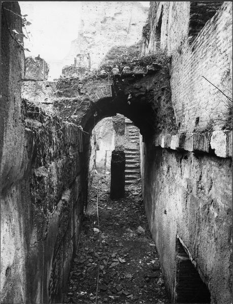 015488 - monumento - Foro Romano, Horrea Hagrippiana, arco tra le strutture sul lato sud orientale, prima del restauro (marzo 1972); neg. serie 9x12, n. 1123