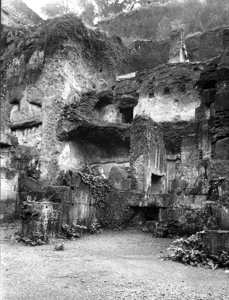 015487 - monumento - Foro Romano, Horrea Hagrippiana, veduta delle strutture sul lato sud orientale e del versante occidentale del Velabro (marzo 1972); neg. serie 9x12, n. 1120