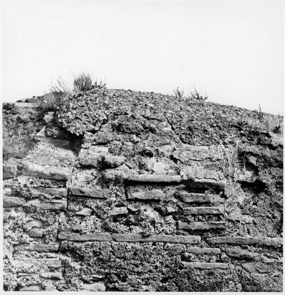 011141 - monumento - Foro Romano, Basilica di Massenzio, particolare della muratura (ottobre 1994); neg. serie 6x6, n. 25036