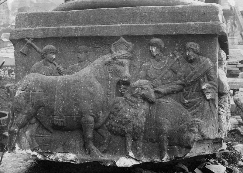 020672 - monumento - Foro Romano, Base dei Decennali, il lato con gli animali per il sacrificio (lato ovest); FILM n. 1493