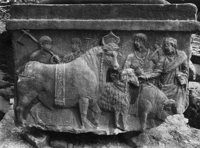 020673 - monumento - Foro Romano, Base dei Decennali, il lato con gli animali per il sacrificio (lato ovest) ; FILM n. 1252 (Ist. Arch. German. n. 35-358)