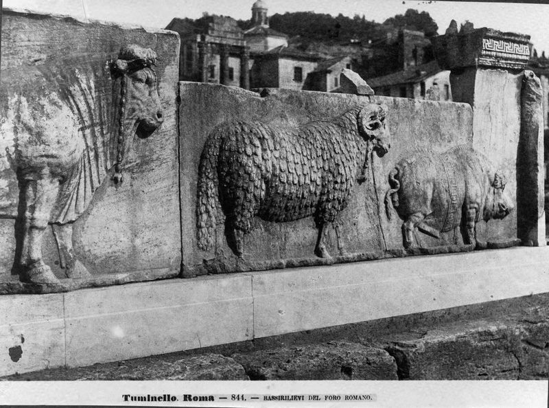015865 - monumento - Foro Romano, Plutei di Traiano, il rilievo con il condono dei debiti, gli animali del sacrificio (foto Tuminello); senza negativo