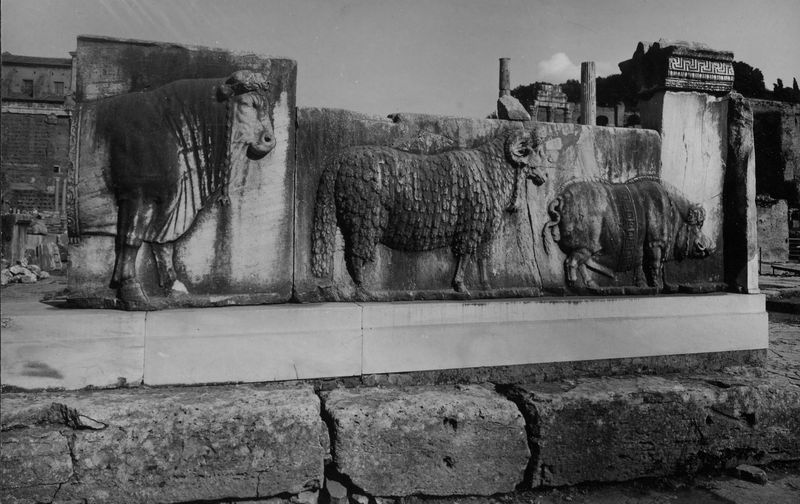 015866 - monumento - Foro Romano, Plutei di Traiano, il rilievo con il condono dei debiti, gli animali del sacrificio; senza negativo